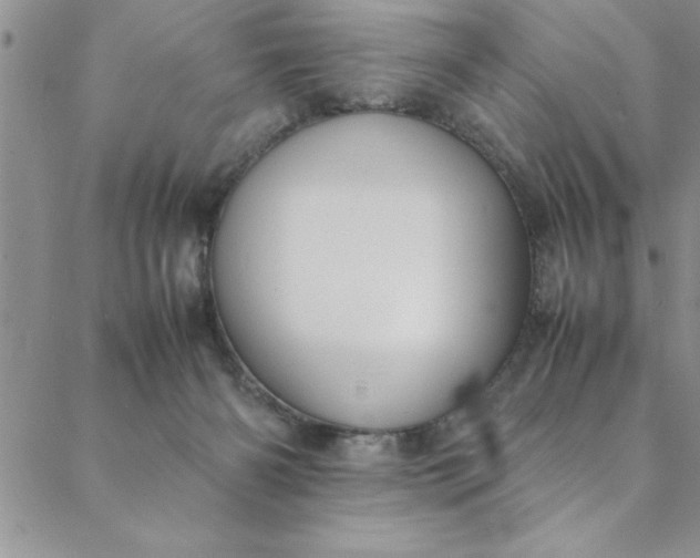 X0000088660126200706081712