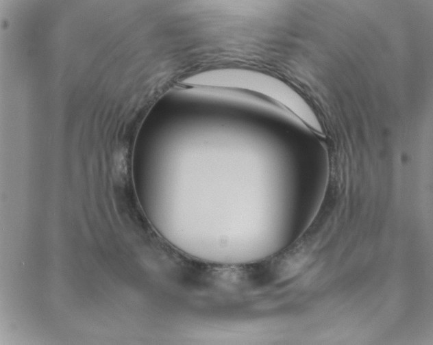 X0000088660127200706081712