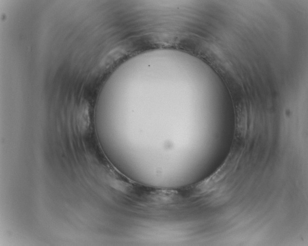 X0000088660128200706081712