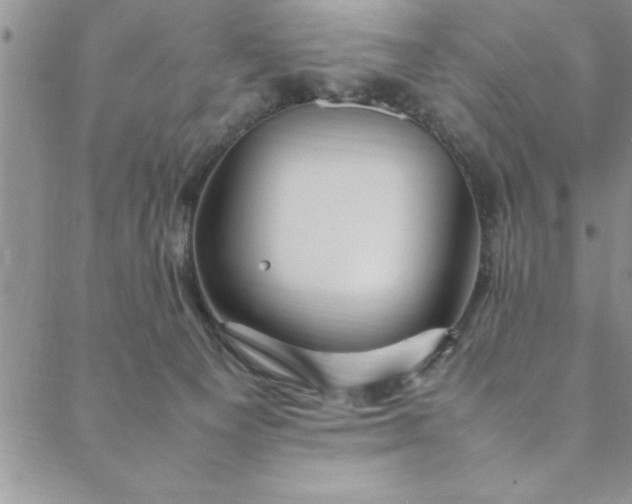 X0000088660129200706081712