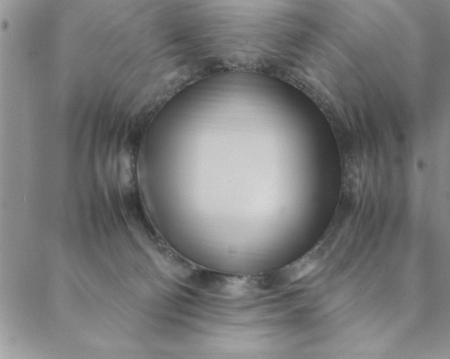 X0000088660130200706081712