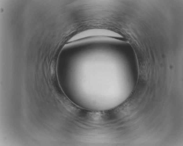 X0000088660131200706081712