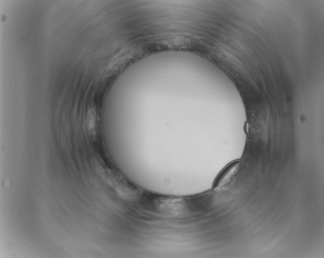 X0000088660132200706081712