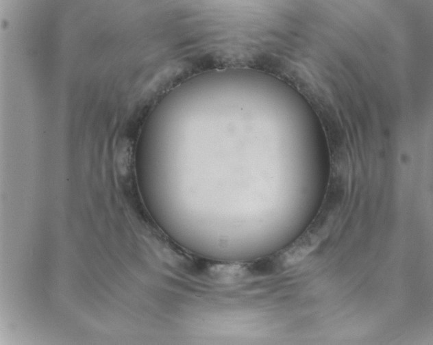 X0000088660133200706081712