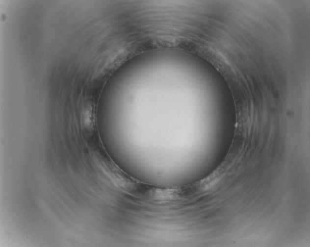 X0000088660134200706081712