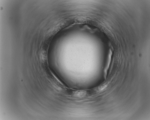 X0000088660135200706081712