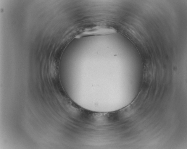 X0000088660136200706081712