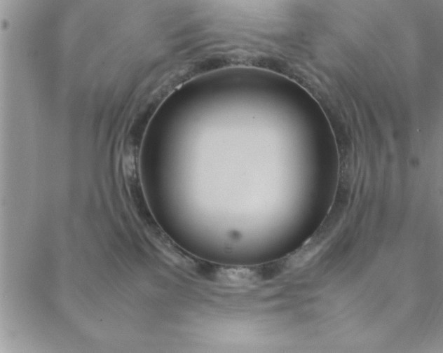 X0000088660137200706081712