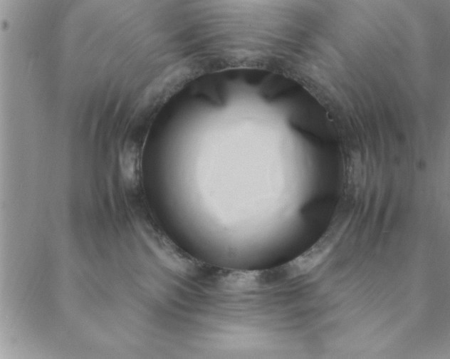 X0000088660138200706081712