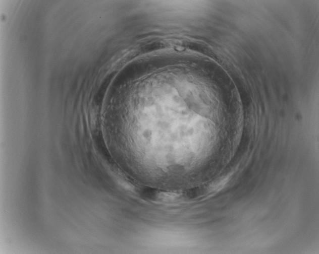 X0000088660139200706081712