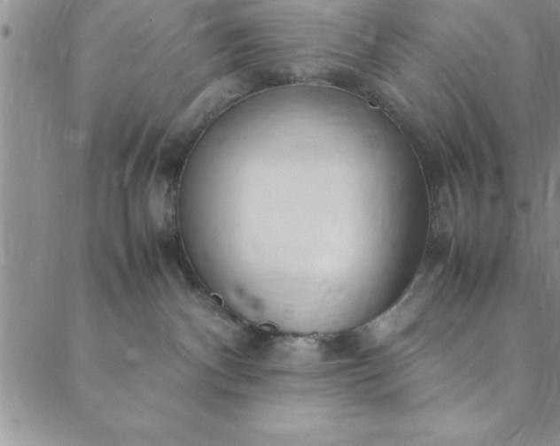 X0000088660140200706081712