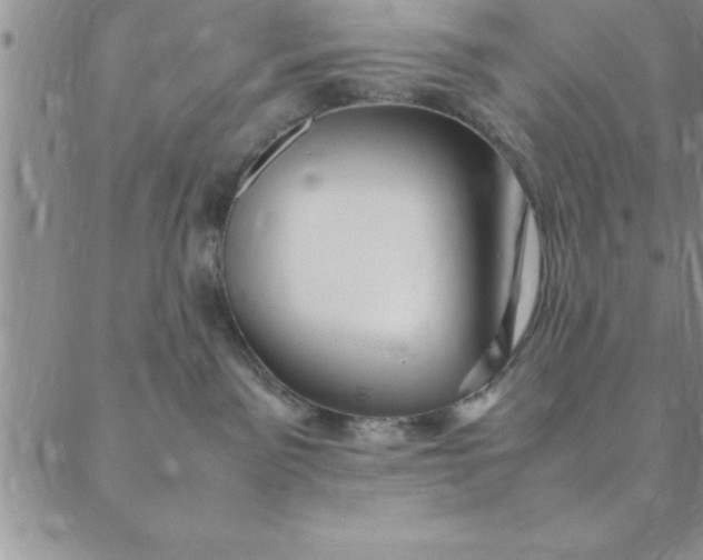 X0000088660141200706081712