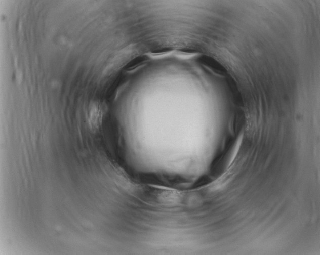 X0000088660142200706081712