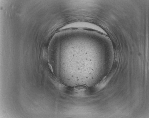 X0000088660143200706081712