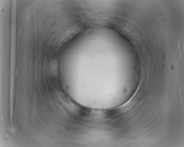 X0000088660144200706081712