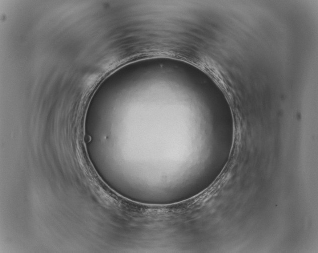 X0000088660145200706081711