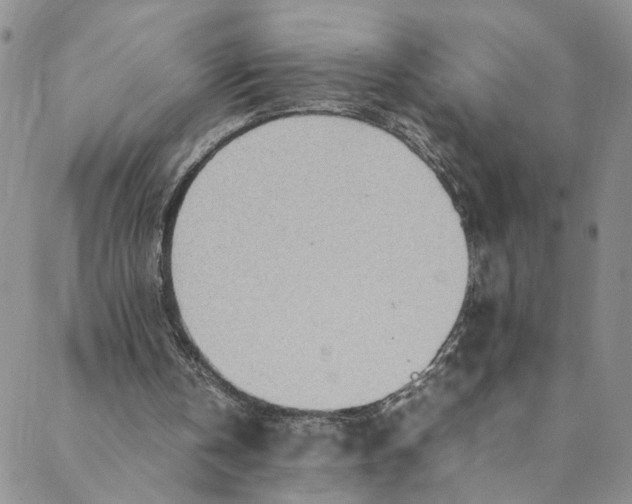 X0000088660146200706081711