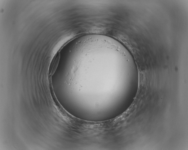 X0000088660147200706081711