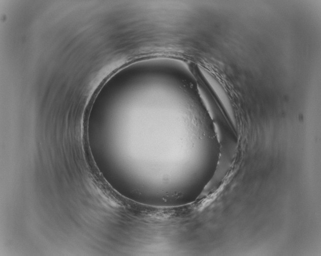 X0000088660148200706081711