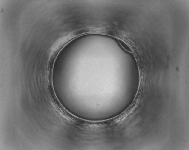 X0000088660149200706081711