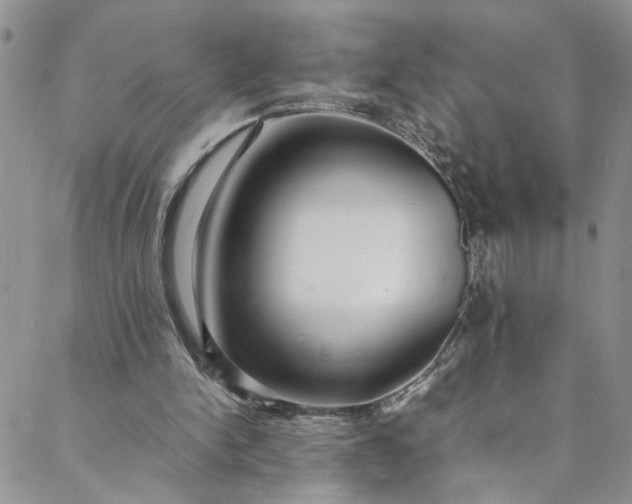 X0000088660150200706081711