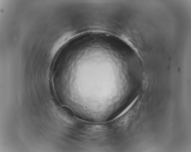 X0000088660151200706081711