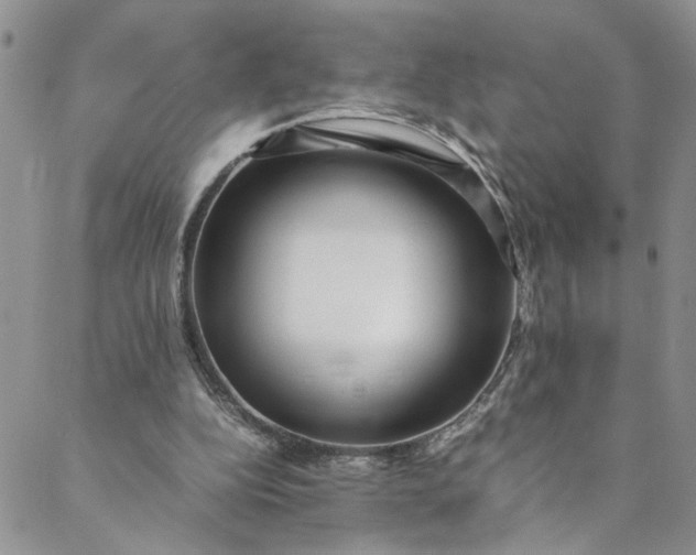 X0000088660152200706081711