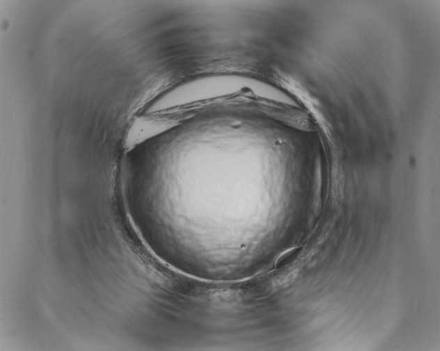 X0000088660153200706081711