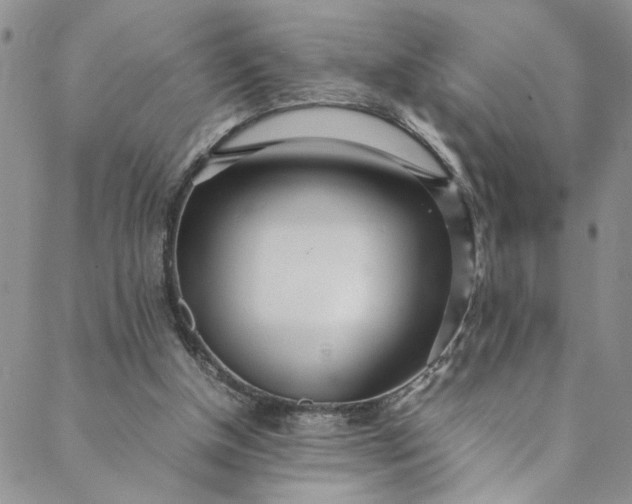 X0000088660154200706081711