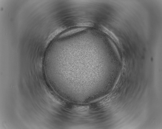 X0000088660155200706081711