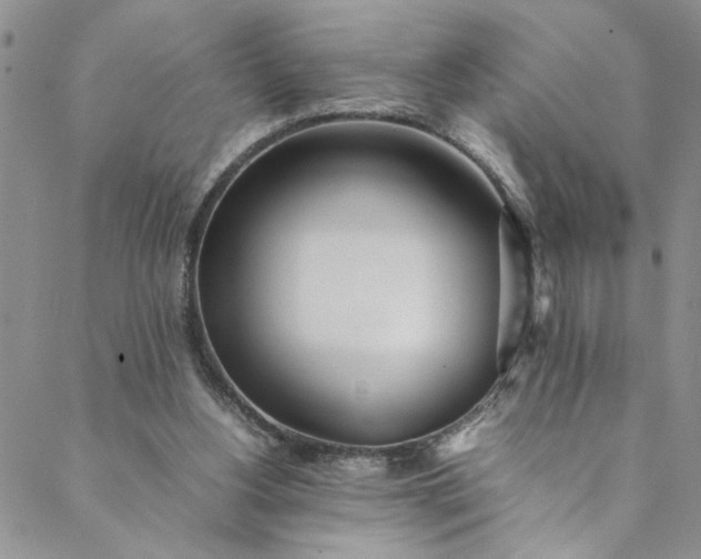 X0000088660156200706081711