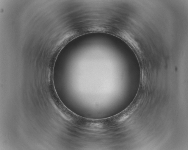 X0000088660157200706081711