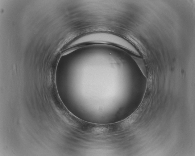 X0000088660158200706081711