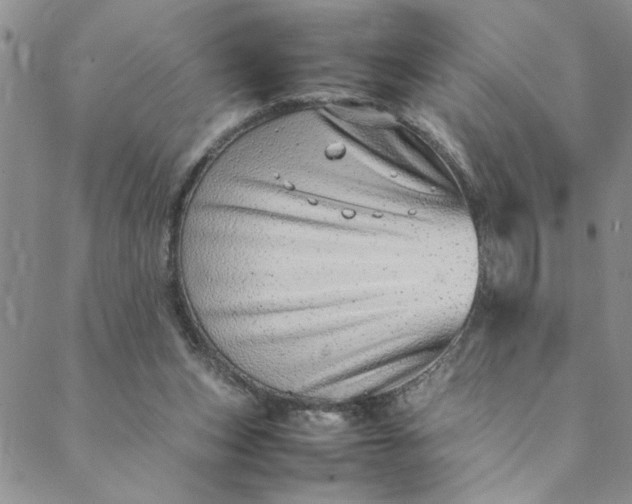 X0000088660159200706081711