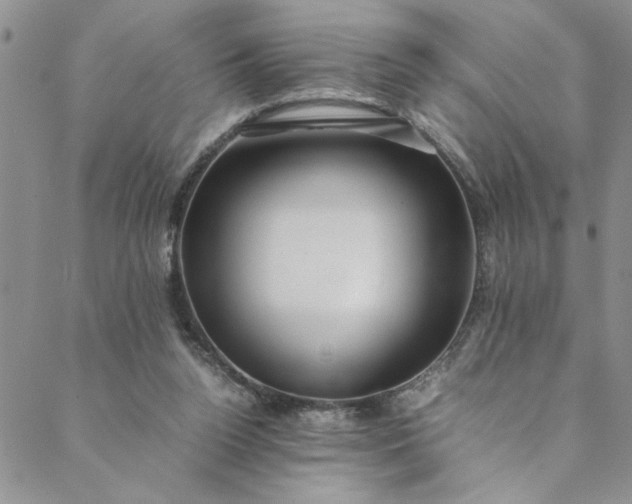 X0000088660160200706081711