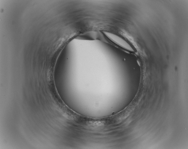 X0000088660161200706081711