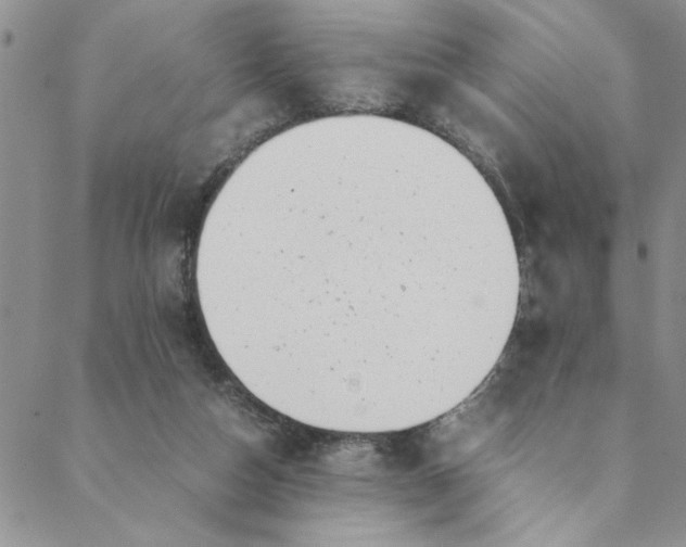 X0000088660162200706081711