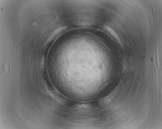 X0000088660163200706081711