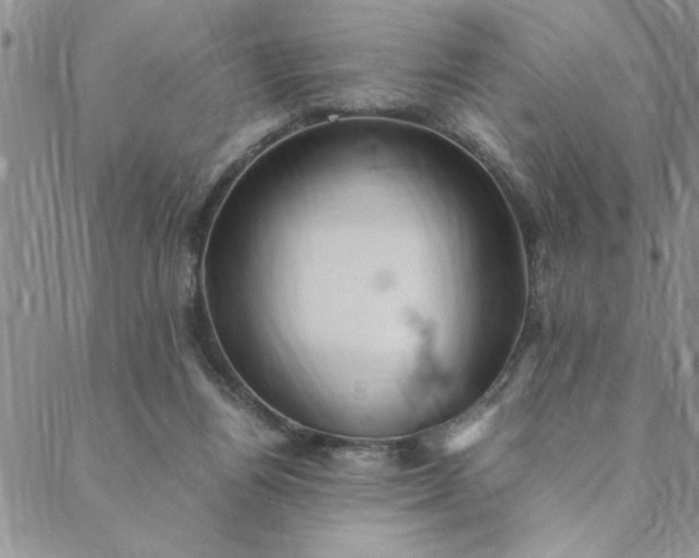 X0000088660164200706081711