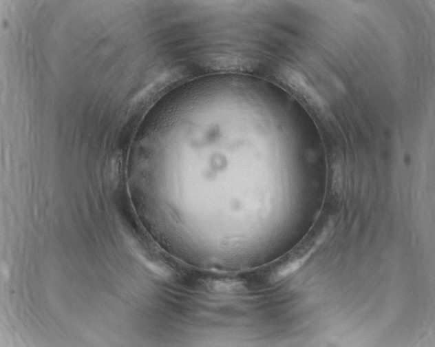 X0000088660165200706081711