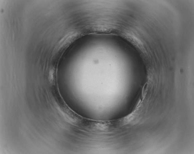 X0000088660166200706081711