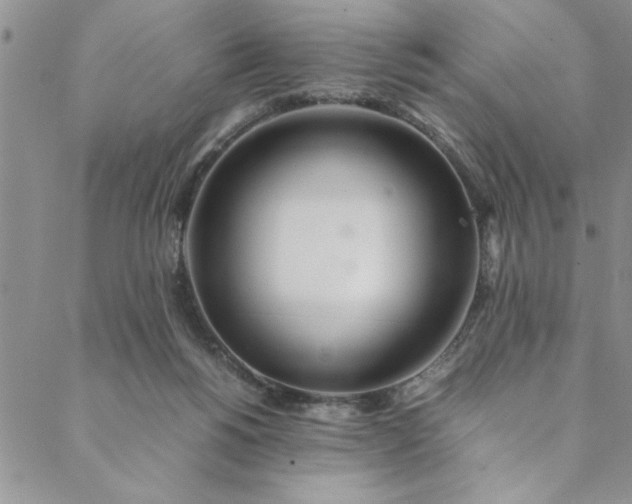 X0000088660168200706081711