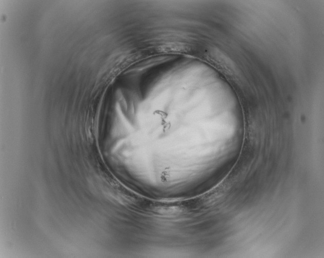 X0000088660169200706081711