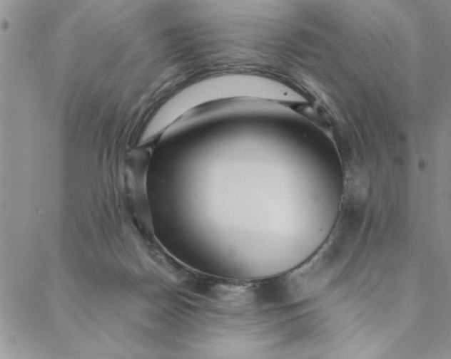 X0000088660170200706081711