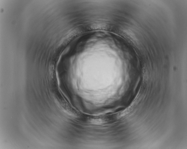 X0000088660171200706081711