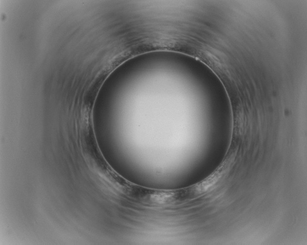 X0000088660172200706081711