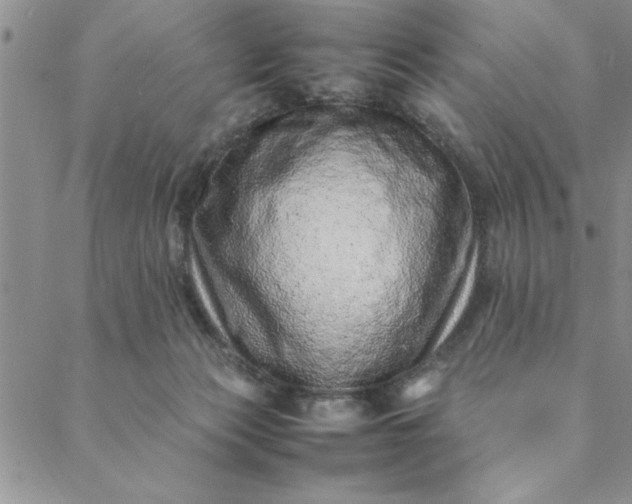 X0000088660173200706081712