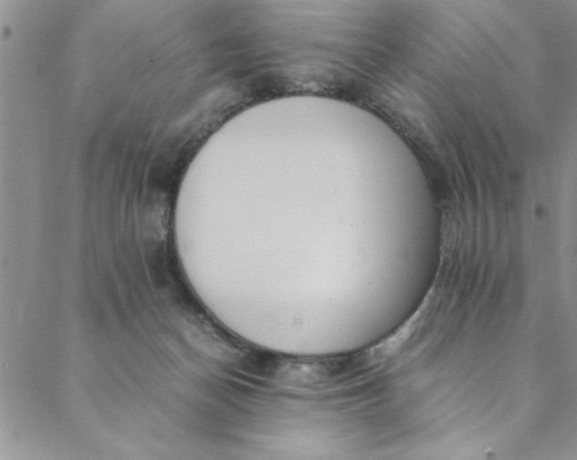 X0000088660174200706081712