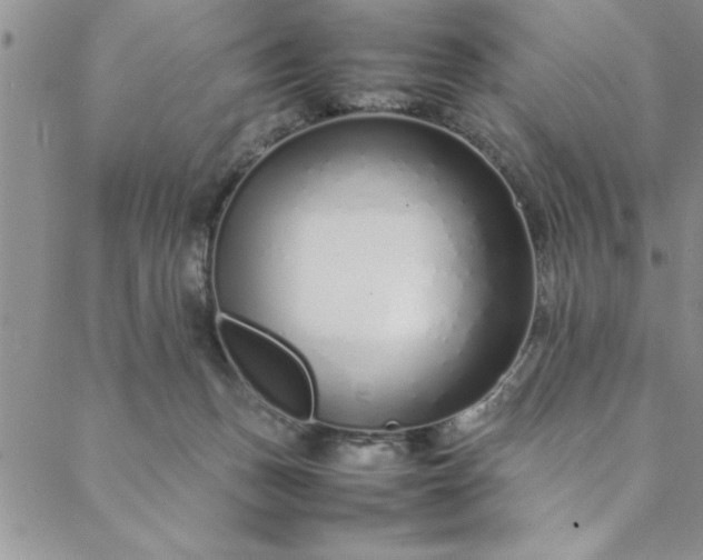 X0000088660175200706081712