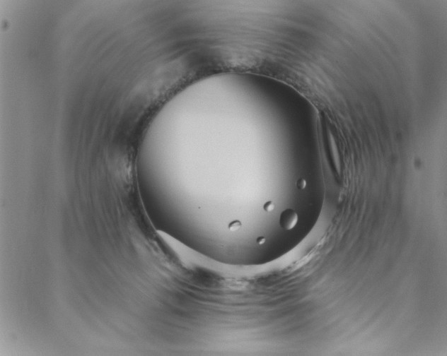 X0000088660176200706081712